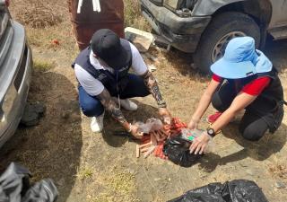 Panamá Este mantienen operativos y Vigilancia sanitaria durante carnaval