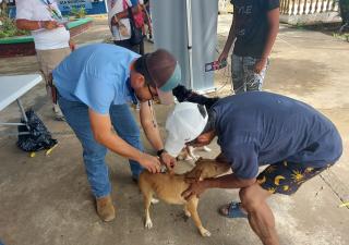 Feria de Salud Tanara de Chepo 