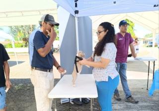 Cómo tramitar el carnet verde en la región de salud de Panamá Oeste