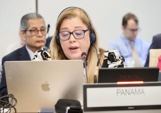 El Comité Ejecutivo de la OPS inicia su 176ª sesión abordando temas clave para la salud en las Américas