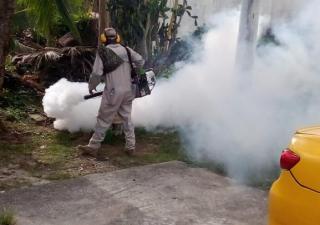 Jornada contra el dengue en Puerto Escondido-Colón