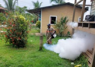 Bocas del Toro refuerza jornadas contra el Dengue
