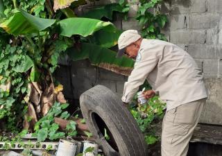 Acciones comunitarias fundamentales para prevenir y combatir el dengue 