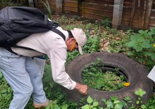 Participación ciudadana es clave para combatir el dengue