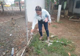 Eliminación de criaderos es la medida clave para prevenir el dengue y otras enfermedades