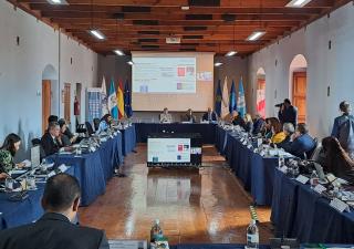 Minsa participa en reunión regional para fortalecer el acceso equitativo al trasplante renal