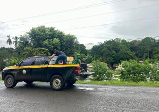 Minsa Los Santos desarrolla operativo de control de mosquitos transmisores del dengue en Tonosí