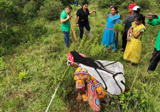 Siembra de pinos en los terrenos de la Región de Salud de la Comarca Ngäbe Buglé