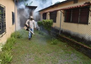 Reiteran adoptar medidas preventivas para reducir riesgos de enfermedades respiratorias, zoonóticas y vectoriales