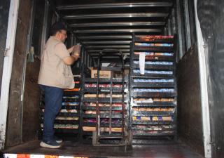 Región de Salud de Veraguas realiza operativos de verificación a transportes de alimentos