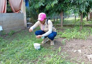 Minsa Los Santos mantiene baja incidencia de dengue y refuerza acciones focalizadas en la provincia