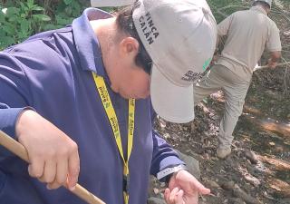 Minsa exhorta a eliminar los criaderos de mosquitos
