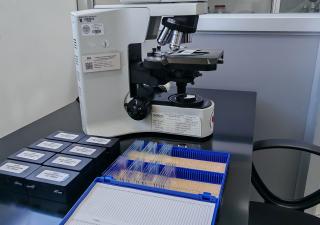 Panamá registra avances en la reducción de la tuberculosis mediante diagnóstico temprano