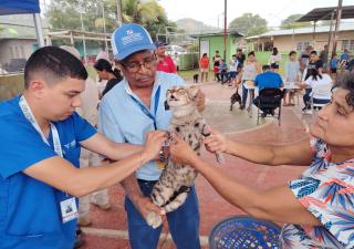 Más de 205 mascotas se beneficiaron con feria intersectorial "Amo mi Mascota" 