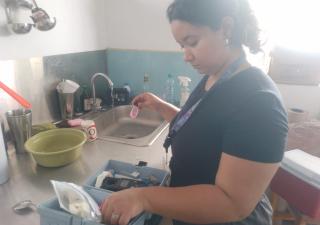 Minsa Los Santos evaluó la calidad del agua tras la desinfección de la planta potabilizadora de Llano de Piedra