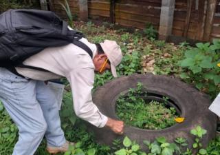 Minsa reitera a la población redoblar los esfuerzos en la eliminación de criaderos de mosquitos y prevenir el dengue