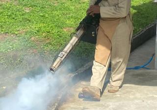 Región de Salud de Colón confirma deceso por dengue