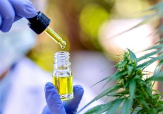 Minsa admite recursos de reconsideración de 3 empresas para obtención de licencia de cannabis medicinal 