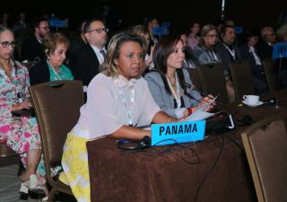Principales retos para aplicación efectiva del Convenio Marco de la OMS