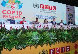 Con importantes acuerdos concluye el COP-10 en Panamá
