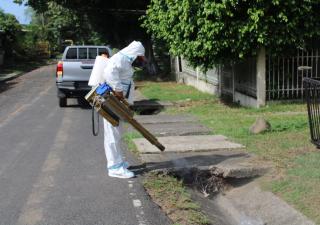 Minsa: Fortalecer medidas preventivas reduce el riesgo de contraer el dengue y otras enfermedades
