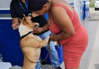 Celebran Día Mundial de la Salud en Colón