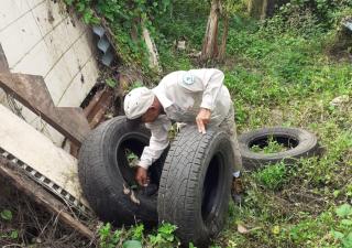 Control de vectores realiza acciones contra el dengue en Bocas del Toro