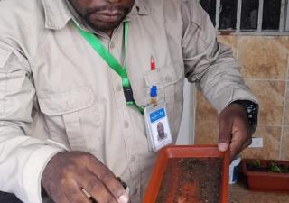 Autoridad regional reitera el no bajar la guardia ante el dengue