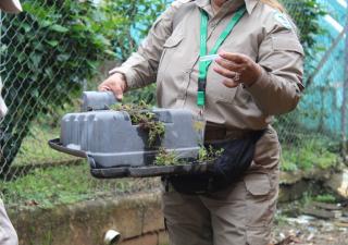 Minsa mantiene operativos de fumigación y estrategias de promoción para prevenir enfermedades