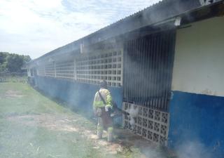 Minsa reitera importancia de evitar posibles criaderos de mosquitos