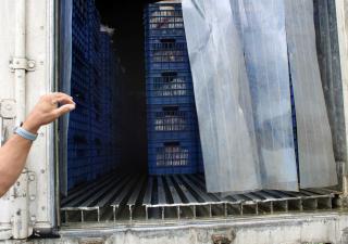 Minsa detecta irregularidades en transporte de productos cárnicos en San Miguelito
