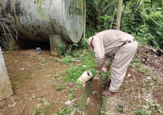 Minsa reitera eliminar criaderos del mosquitos Aedes aegypti
