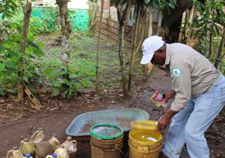 Panamá Norte intensifica operativos para eliminar criaderos de mosquitos y prevenir enfermedades
