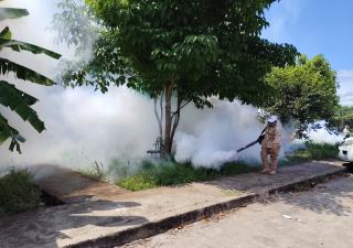 Minsa reitera la participación comunitaria en la prevención del dengue