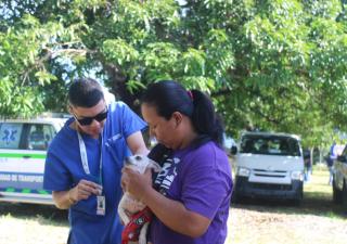 Minsa realizará jornadas de vacunación antirrábica para mascotas 