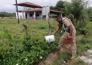 Región de Salud de Herrera intensifica acciones para frenar el aumento de casos de dengue