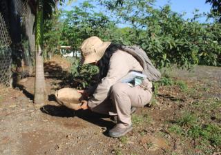 Eliminación de criaderos es la medida clave para prevenir el dengue y otras enfermedades