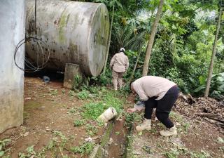 Minsa en Chiriquí refuerza llamado para eliminar criaderos de Aedes aegypti