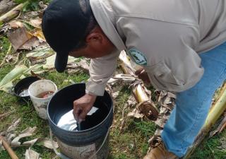 Región de Salud en Panamá Este refuerza operativos de control de vectores