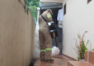 Minsa hace un llamado  a la población a eliminar criaderos del mosquito Aedes aegypti