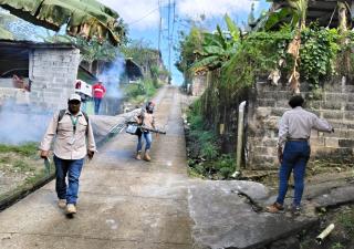 Casos de dengue se mantiene en zona de control en Panamá Norte