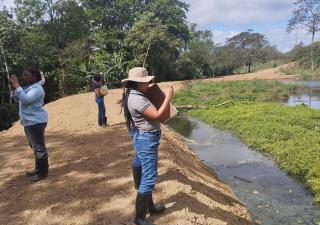 Inician los controles de salubridad a fincas de cerdo y aves en Panamá Norte