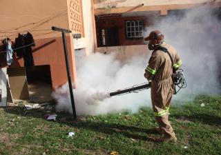 Salud realiza jornada de fumigación y desratización en Villa Guadalupe