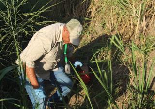 Salud realiza jornada de fumigación y desratización en Brisas del Golf para combatir    madrigueras de ratas