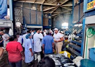 Región Metropolitana de Salud refuerza vigilancia sanitaria en Mercado de Mariscos 