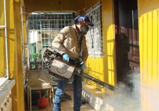 En un 32% disminuyen hospitalizaciones por dengue en lo que va del 2026
