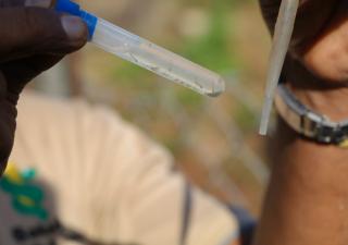 Minsa fortalece acciones de prevención y control del dengue en todo el país